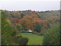 Autumn colour on Little Durnford Hill