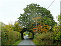 Railway bridge over the Blaisdon Road