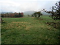 Rough Pasture behind Chapel House