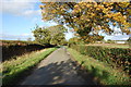 Lane heading towards the A518