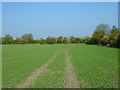 Farmland, West Challow