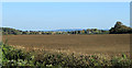 2011 : East over a ploughed field off the B4069