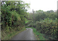 Steep lane south of Llanborth