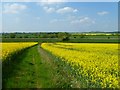 SU5788 : Farmland, Cholsey by Andrew Smith