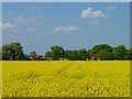 Farmland, Brightwell-cum-Sotwell