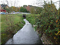 Tributary, River Crouch