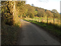 Lane at Plas-yn-glyn