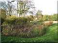 Glentworth village pond