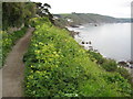 South West Coast Path, East Looe