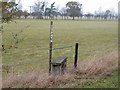 Footpath marker and stile