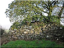 S7343 : Medieval Fort by kevin higgins