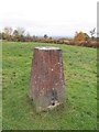 Triangulation Point, close to car park on Hindleap Lane