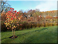 Autumnal View at Bruar