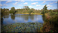 A Lake in the Park