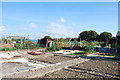 Allotments in Elson