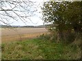 Damerham, footpath junction