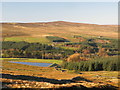 Pastures, Eastend Reservoir and plantations above Allenheads (2)