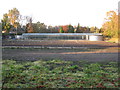 Glasshouses at Laughton Wood Corner