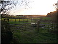 Monmouthshire countryside near Devauden