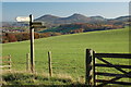 Footpaths around Galashiels