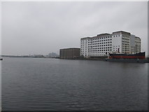 TQ4180 : Royal Victoria Dock with Spillers Millennium Mills E16 by Robin Sones