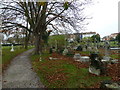 An autumnal walk through Highland Road Cemetery (40)