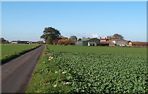 SE7719 : Two farms along minor road south of Swinefleet by Trevor Littlewood