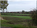 Farmland on Widmerpool Lane