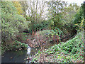 Tributary, River Crouch