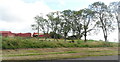 Red barns, Westwood, Gauls