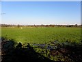 Ballydermot Townland