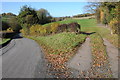 Country road at Eastham