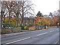 Shay Lane, autumn