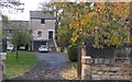 Autumnal cherry tree