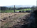 The chimney of a disused flaxmill viewed across cropland on the Cavan Road