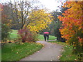 Autumn colours in Petworth Park