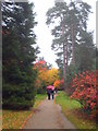 Path in Petworth Park