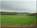 Field view to Collins Farm