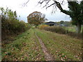 Bridleway BW 383 approaching Collins Farm