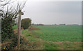 Footpath marker on edge of arable field