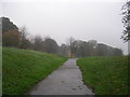 Footpath through Western Flatts Park - viewed from Fawcett Lane