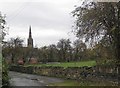 Paddock beside the recreation ground