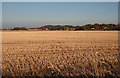 Findhorn Floodplain