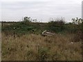 Waste land and rubble near Orchard Farm