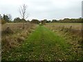 TQ0339 : Short section of the Wey South Path by Dave Spicer
