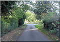 Lane junction at Netherton