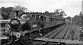 TQ4023 : Bluebell Railway train at Sheffield Park in 1961 by Ben Brooksbank