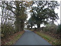 Part of Shepherds Lane, Bicton, Shrewsbury