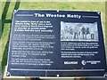 Westoe Netty Plaque