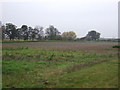 Farmland near Glebe Farm